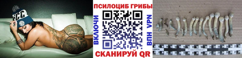OMG зеркало  Бор  Галлюциногенные грибы мухоморы 
